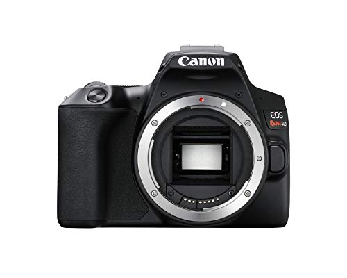 Canon डिजिटल कैमरा EOS विद्रोही SL3