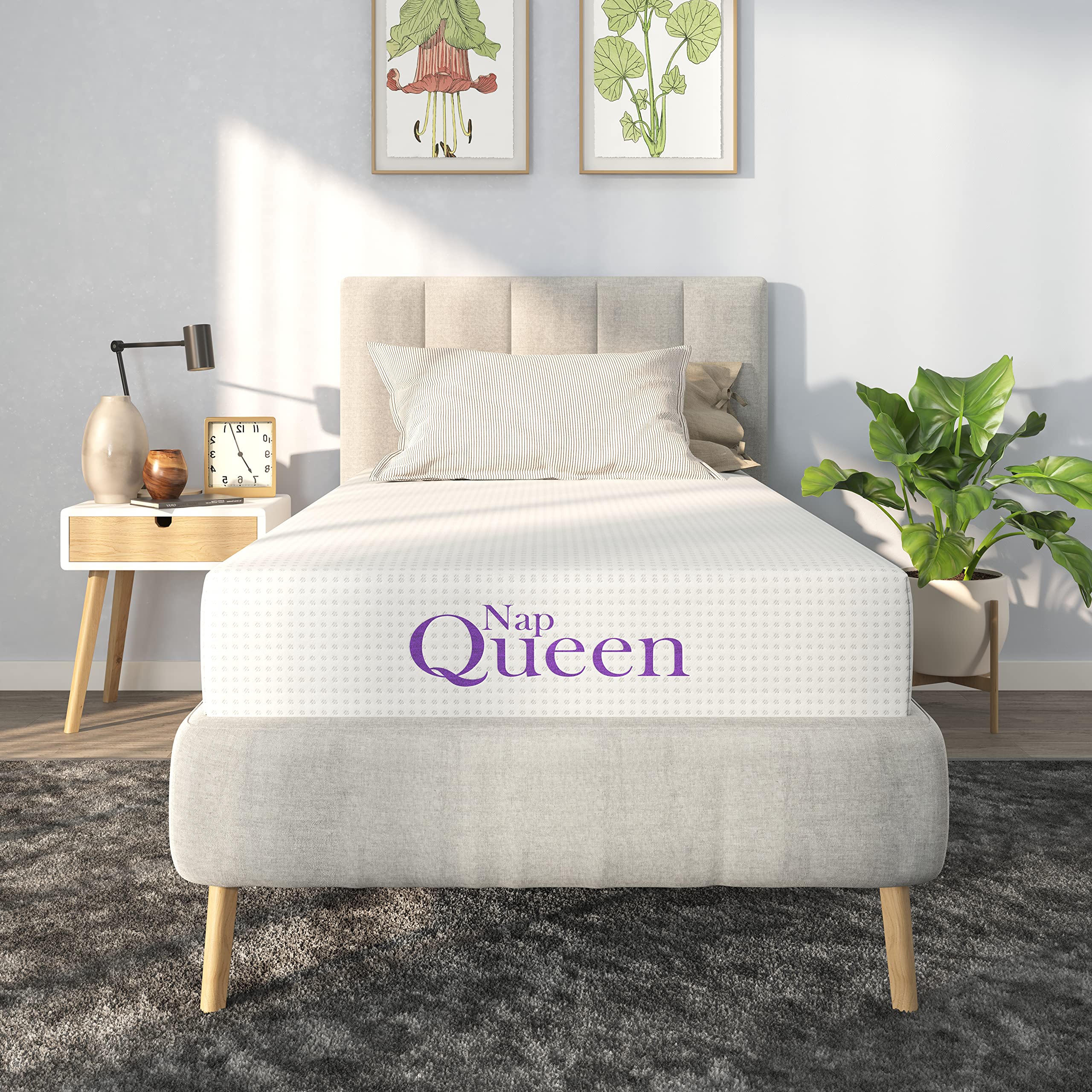 NapQueen 