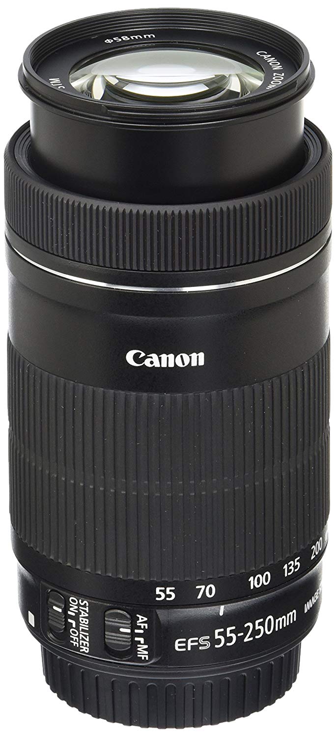 Canon ईएफ-एस 55-250 मिमी एफ 4-5.6 एसएलआर कैमरा के लिए एसटीएम लेंस है