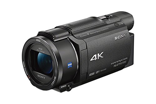 Sony FDRAX53/B 4K HD वीडियो रिकॉर्डिंग कैमकॉर्डर (काला)