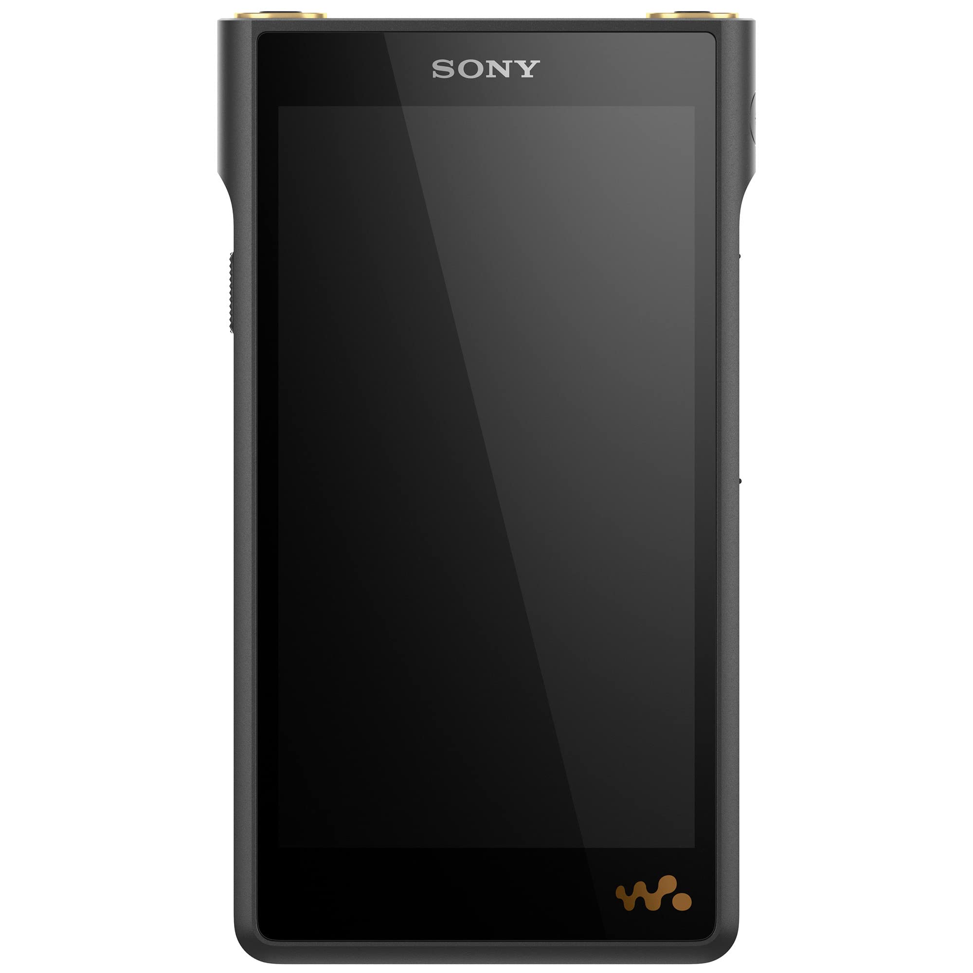 Sony NW-WM1AM2 हाई-रेज़ 128GB वॉकमैन डिजिटल MP3 ...