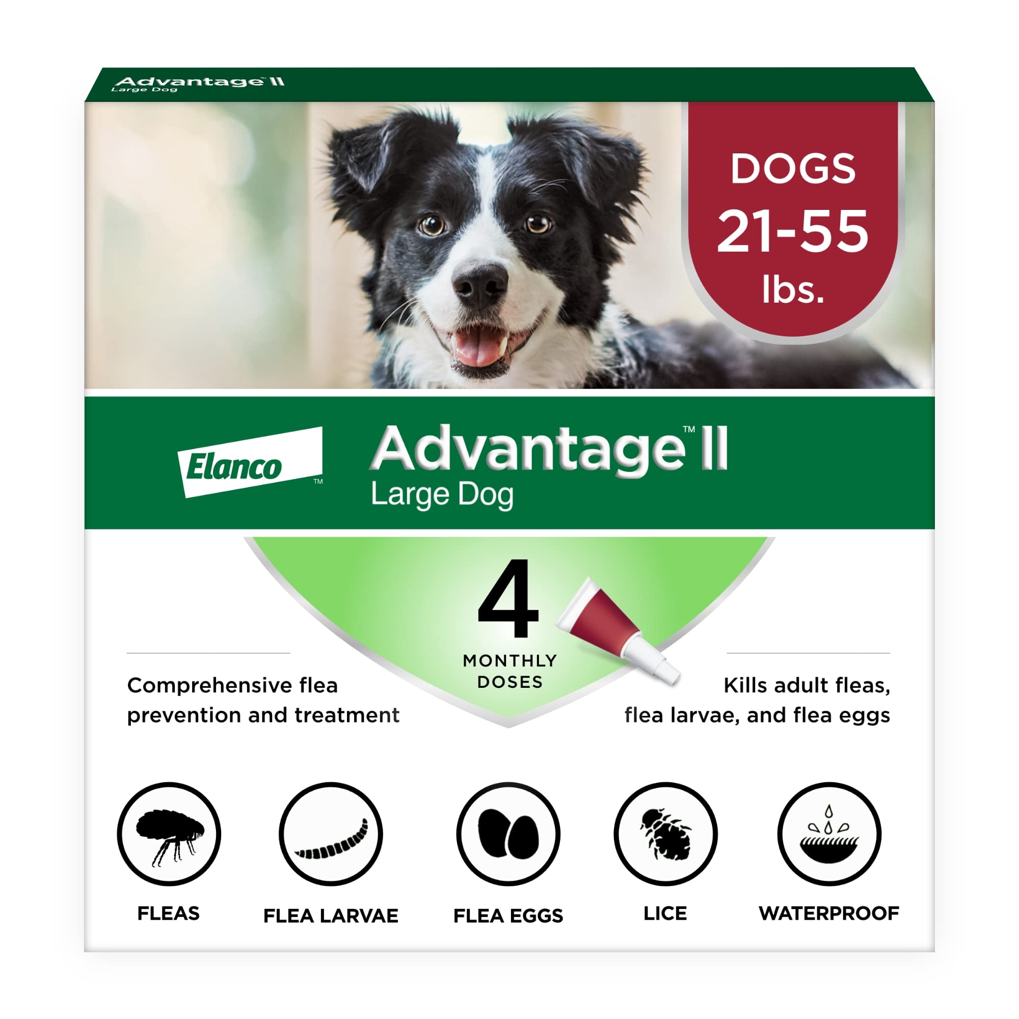 Advantage II बड़े कुत्तों के लिए पिस्सू रोकथाम और उपचार (21-55 पाउंड)