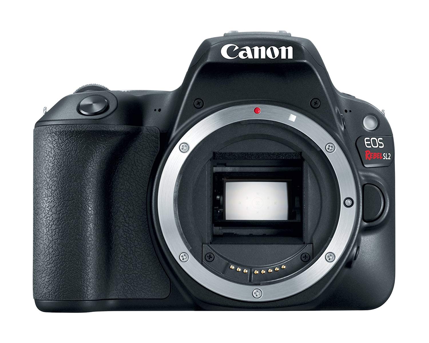 Canon EOS विद्रोही SL2 डिजिटल एसएलआर कैमरा बॉडी - वाईफाई सक्षम