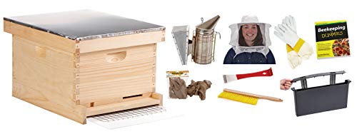 Little Giant 10-Frame Deluxe Beginner Hive Kit Premium ...